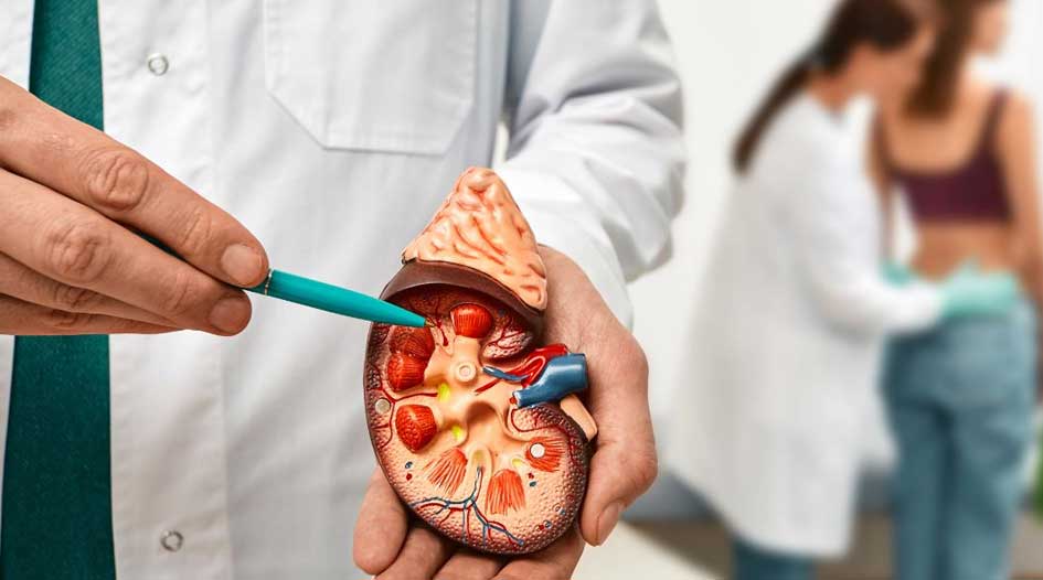 Kidney Transplant